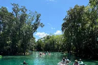 Crystal River Clear Kayak Manatee and Springs Tour thumbnail 2