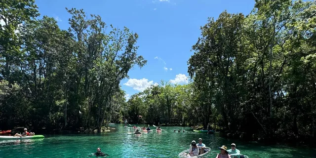 Crystal River Clear Kayak Manatee and Springs Tour - Image 2
