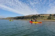 Sonoma Coast Russian River Kayak Tour thumbnail 4