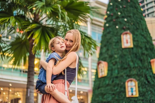 Miami Christmas Holiday Walking Tour - Image 5