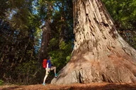San Jose Yosemite National Park and Giant Sequoias Tour thumbnail 5