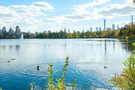 New York Central Park Film Spots Pedicab Tour thumbnail 5