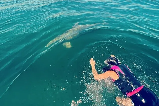 Panama City Swim with Dolphins and Snorkeling Tour - Image 3