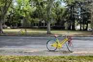 San Francisco Silicon Valley Private Tour thumbnail 6