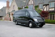 Party Bus Sprinter Limo Tour thumbnail 3