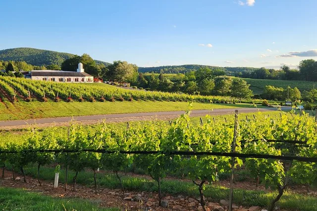 Wine and Culinary Tour in [City] 5 hr - Image 3