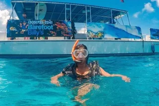 Key West Dolphin Watching and Snorkeling Adventure