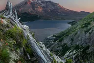 Seattle Mount Rainier National Park Day Tour thumbnail 5