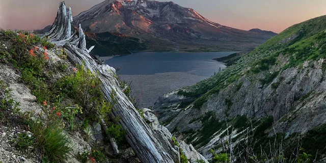 Seattle Mount Rainier National Park Day Tour - Image 5