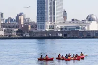 San Diego Bay Guided Kayak Tour in Coronado 1.5 hr thumbnail 6