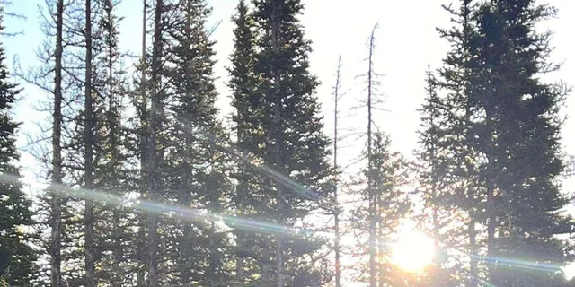 Rocky Mountain National Park Sunrise Hike - Image 3