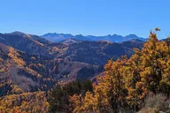 Park City Hiking Tour with Local Guide thumbnail 3