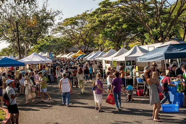 Kailua Tour with Return Shuttle 9 hr - Image 2