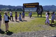 San Francisco Wine Tour to Napa & Sonoma 9 hr thumbnail 3