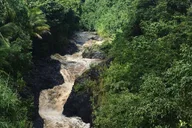 Maui Road to Hana Sightseeing Tour with Lunch thumbnail 5