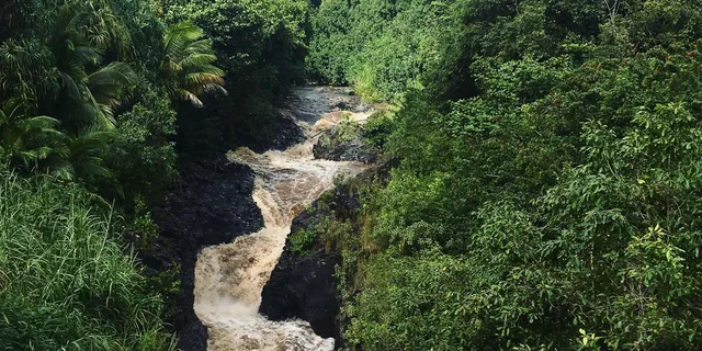 Maui Road to Hana Sightseeing Tour with Lunch - Image 5