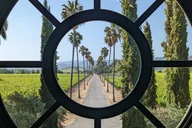 Napa Wine Tour from Sacramento thumbnail 6