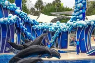 Orlando SeaWorld Shuttle Service thumbnail 3