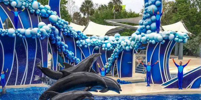 Orlando SeaWorld Shuttle Service - Image 3