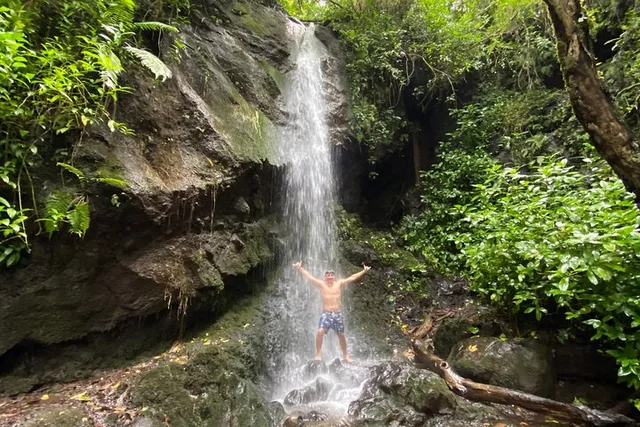 Waterfall Hike and Scenic Tour in Japan 4.5 hr - Image 2