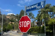 Los Angeles Private Sightseeing Tour thumbnail 6