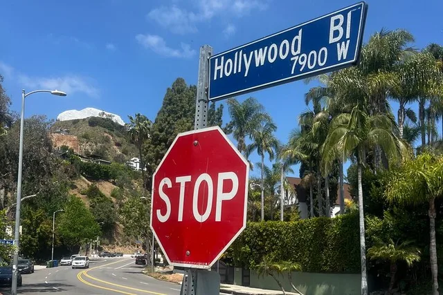 Los Angeles Private Sightseeing Tour - Image 6
