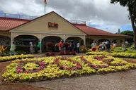 Oahu Pearl Harbor and Dole Pineapple Tour thumbnail 2