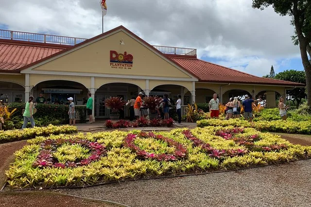 Oahu Pearl Harbor and Dole Pineapple Tour - Image 2