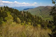 Pigeon Forge Smoky Mountains Jeep Tour thumbnail 3