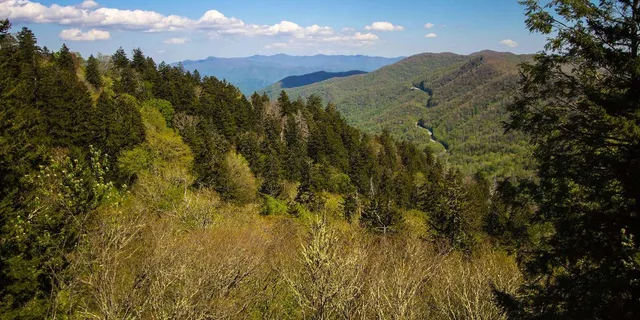 Pigeon Forge Smoky Mountains Jeep Tour - Image 3