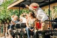 Charleston Historical Horse-drawn Carriage Tour thumbnail 5