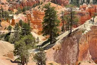 Las Vegas Bryce Canyon & Zion Day Trip thumbnail 6