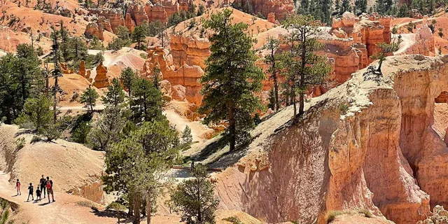 Las Vegas Bryce Canyon & Zion Day Trip - Image 6