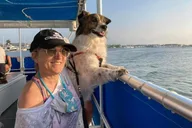 Naples Dog-Friendly Boat Tour to Keewaydin Island thumbnail 6
