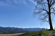 Pigeon Forge Cades Cove Sightseeing Bus Tour thumbnail 5