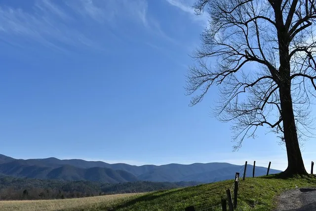 Pigeon Forge Cades Cove Sightseeing Bus Tour - Image 5