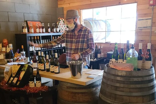 Willamette Valley Wine Tour with Lunch - Image 3