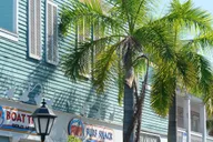 Fort Lauderdale Key West Day Trip thumbnail 5