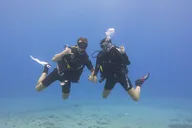Lahaina Scuba Diving Experience thumbnail 5