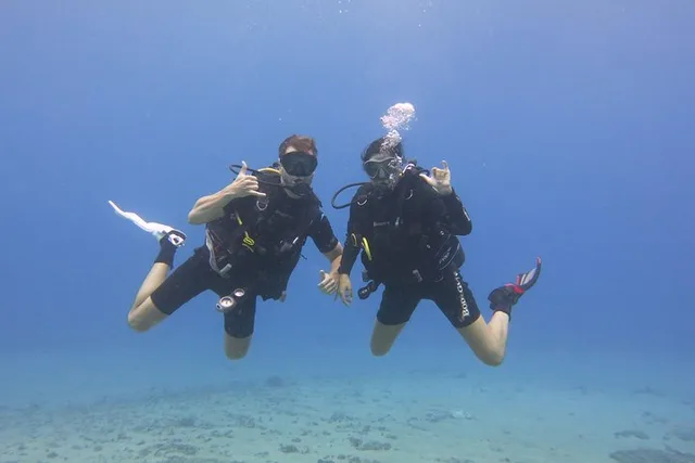 Lahaina Scuba Diving Experience - Image 5