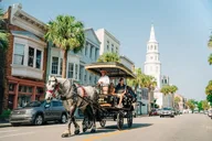 Charleston Horse & Carriage Ride and Harbor Cruise thumbnail 1