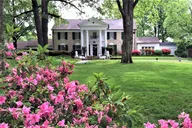 Nashville to Memphis Day Trip with Graceland and Sun Studio thumbnail 5