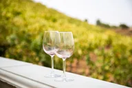 Temecula Wine Tour from Orange County thumbnail 1