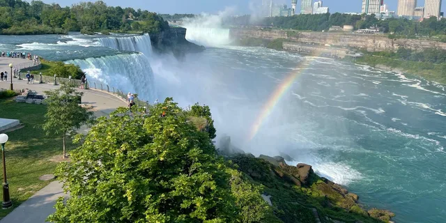 Niagara Falls Maid of the Mist Boat and Walking Tour - Image 2