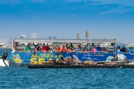 San Diego Amphibious Seal Tour thumbnail 2