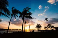 Miami City Tour 6 hr thumbnail 6