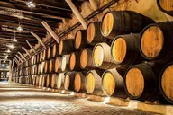 San Diego Wine Country Tour thumbnail 5