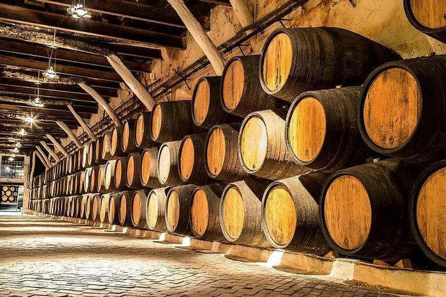 San Diego Wine Country Tour - Image 5