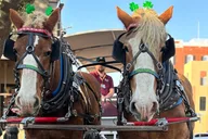 Savannah Horse-Drawn Carriage Tour thumbnail 4