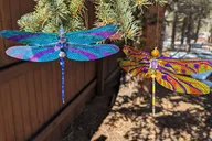 Estes Park Art Kit Experience thumbnail 2